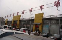 北京花卉拍卖中心?北京花卉拍卖中心地址!