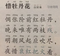 白居易花卉诗歌研究?白居易的花!