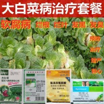 大白菜软腐病?大白菜软腐病用什么特效药防治!