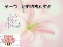 花卉有什么构成?花卉是由哪些构成的!