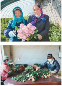 义县存仁花卉?义县存仁花卉种植合作社!