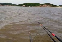 河面起风如何钓鱼?河面起风如何钓鱼视频!