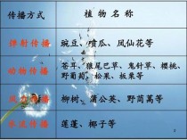 列举植物传播种子方法?列举植物传播种子方法二年级!
