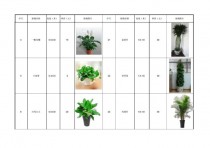通州花卉租赁报价?通州花卉租赁报价表!
