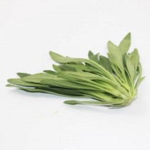 面条菜是什么菜?河南面条菜是什么菜!