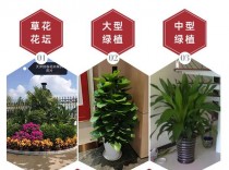 植物花卉租赁供应?植物花卉租赁供应方案!