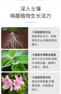 花卉磷钾肥图片?花卉磷钾肥使用方法!