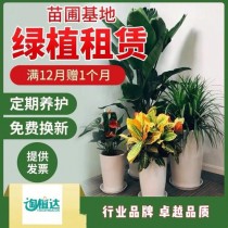 花卉租赁怎么算钱?花卉租赁怎么算钱的!