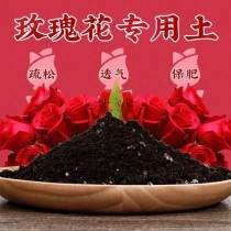 种月?种月季用什么土好!