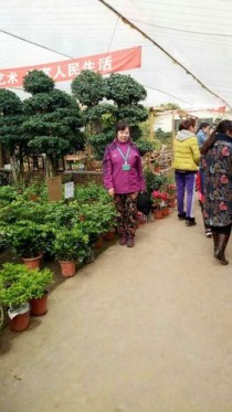沈阳花卉繁育基地?沈阳花卉繁育基地在哪!